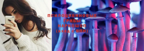 spice Алзамай