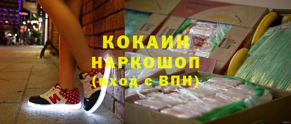 spice Алзамай