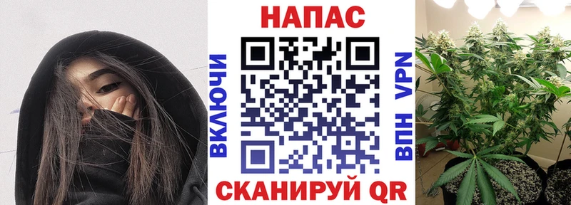 закладки  OMG ONION  Шишки марихуана ГИДРОПОН  Москва 